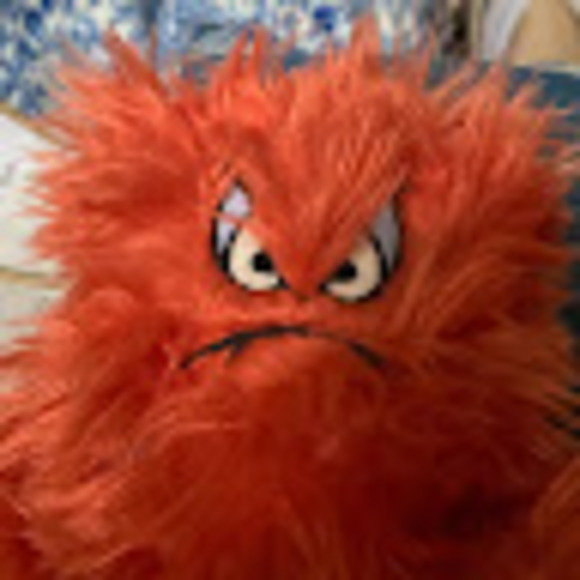 Meet your Posher, Christinescaglione - Picture 1 of 1